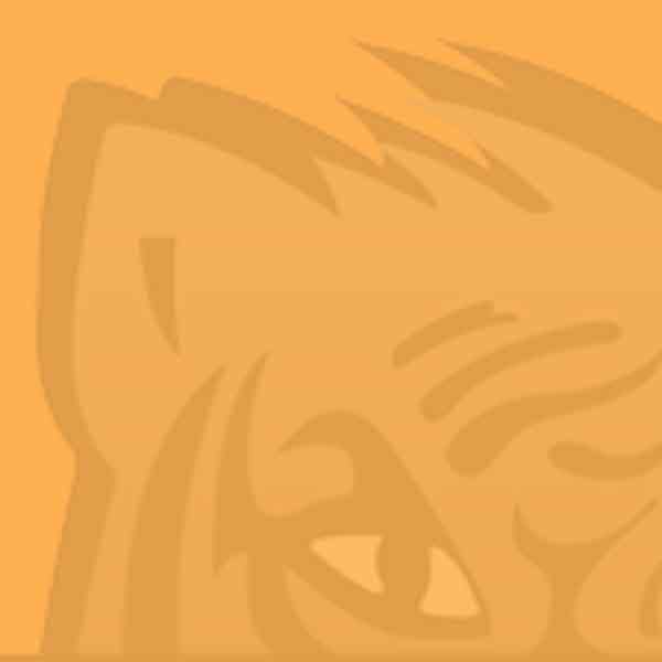 Tiger Payment Solutions product demo