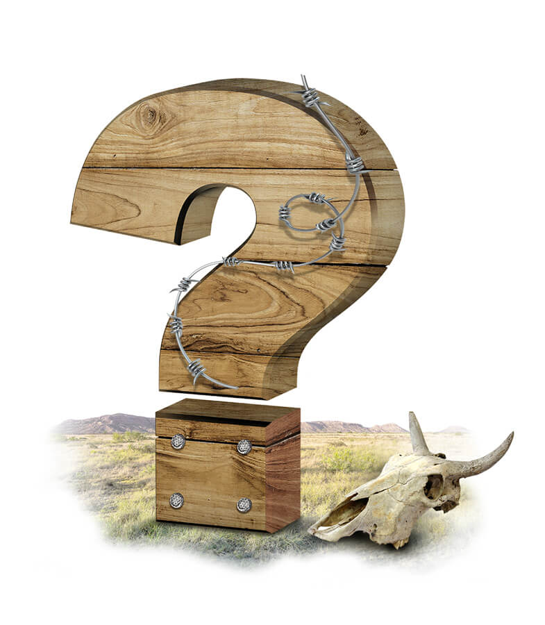 DotCom Global Media Fence Graphic Example